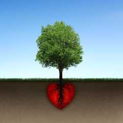 Tree and root of red heart