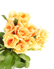 beautiful bouquet of roses isolated on white