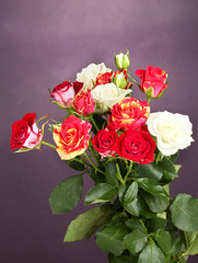 Bouquet of beautiful roses on purple background close-up