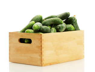fresh cucumbers in wooden box isolated on white