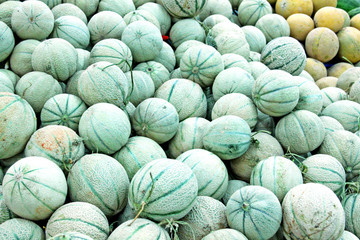 Fototapeta na wymiar Cantaloupe melons