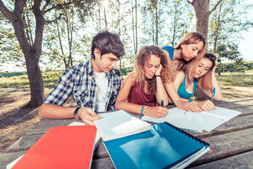 Group of Teenage Students at Park