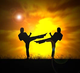 Papier Peint photo Lavable Arts martiaux martial arts - two fighters