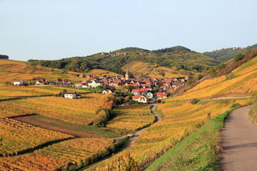 Obraz premium Niedermorschwihr