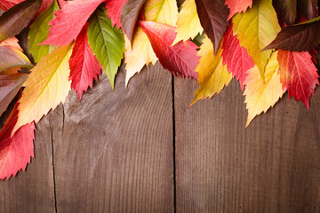 Naklejka na ściany i meble Autumn frame