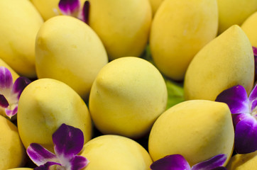 Barracuda Golden Mangoes