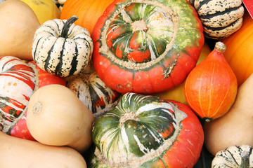Colorful pumpkins collection on the autumn market