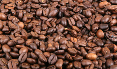 Coffee Beans.