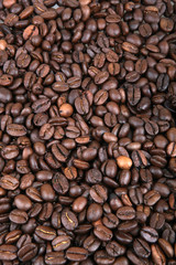Fototapeta premium Coffee Beans.
