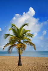Fototapeta na wymiar Beach resort in San Juan (Puerto Rico)