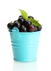 blueberris in bucket with mint isolated on white