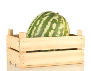 Ripe watermelon in wooden box isolated on white