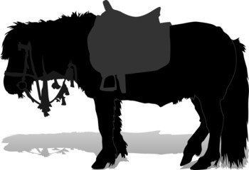 Silhouette of a pony with a bridle and a saddle