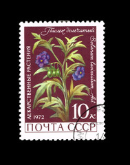 USSR shows Herbs. Nightshade lobular., circa 1972