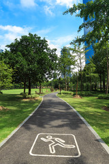 Fototapeta na wymiar droga jogging w parku miejskim