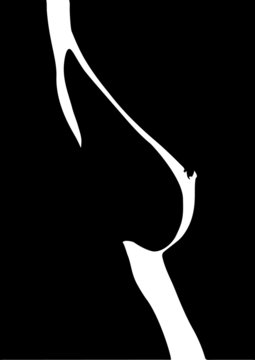 Naked Female Breast Silhouette