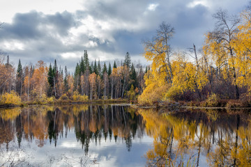 Autumn landscape with the river