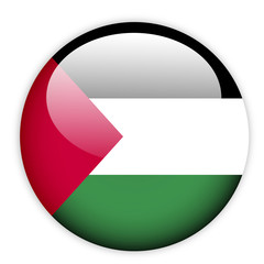 Palestine flag button