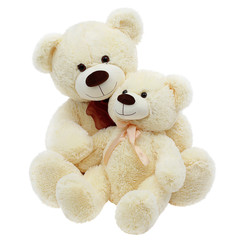 Two teddybears on white background