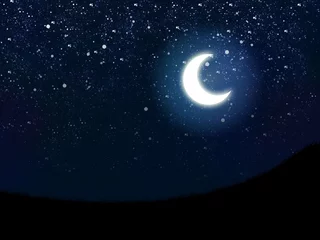 Gartenposter Nachthimmel © AnnaPa