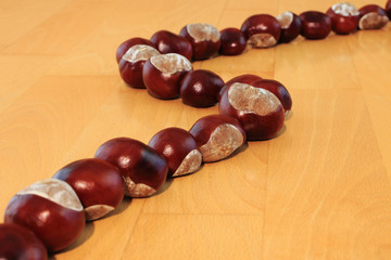 A row of fresh chestnuts on wooden floor