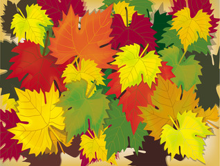 Naklejka na ściany i meble leaves, autumn.