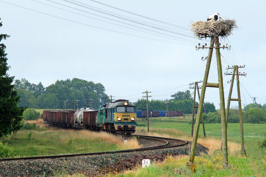 Fototapeta Rural landscape with freight train