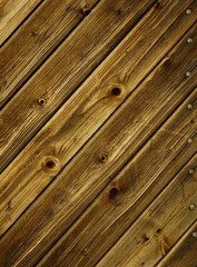 Fototapeta premium holz