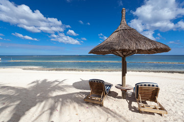 vacances paradisiaques à l'ombre des cocotiers
