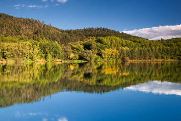 Symmetry reflection on the summer lake