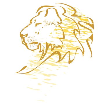 Lion graffiti