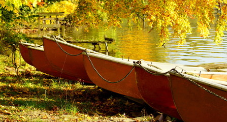 relaxation in the autumn - golden autumn