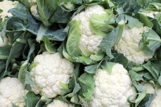 Bio - Blumenkohl