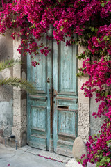 Vieille porte en bois avec bougainvilliers à Chypre