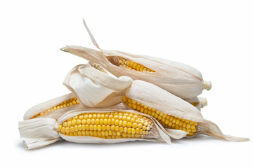 Montón de mazorcas de maíz aisladas sobre fondo blanco