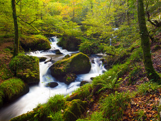 Waterfall in the Woods