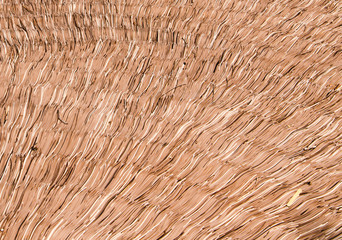 thatched roof texture