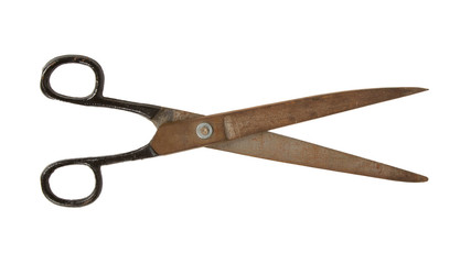 Scissors isolated on white background