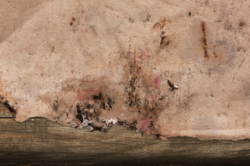 Grungy old paper on a dark wooden background