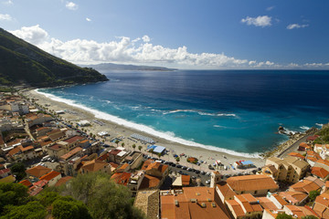 Scilla