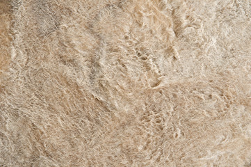 Stein Textur