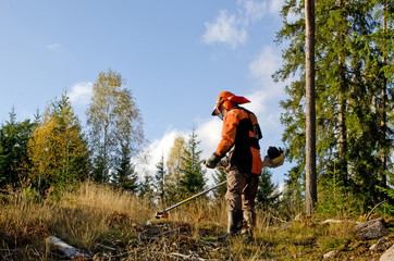 Worker with a brush cutter