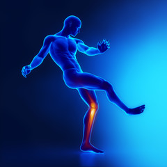 Fototapeta na wymiar Knee joints sporstman anatomy