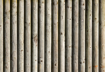 A background texture made of wooden logs