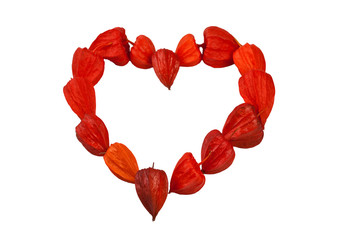 autumnal physalis heart isolated on white