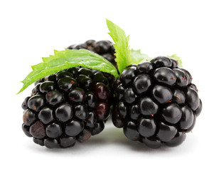 beautiful blackberries with leaf isolated on white