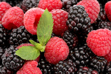 background of beautiful berries with leaves