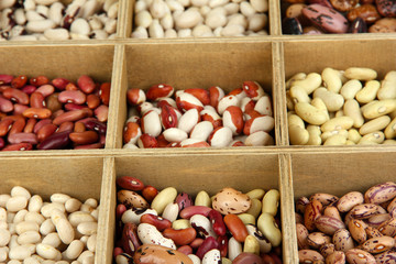 Diverse beans in wooden box sections close-up