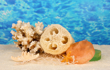 Loofah on color background