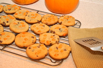 Naklejka na ściany i meble Homemade Halloween Cookies Cooling
